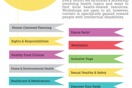 Jocelyn Seemann N4 Healthy Choices Workshop Flyer